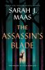 Book cover for "The assassin's blade".