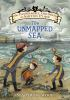 Book cover for "The unmapped sea".