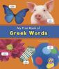 Book cover for "My first book of Greek words".