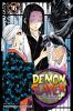 Book cover for "Demon slayer =".