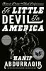 Book cover for "A little devil in America"