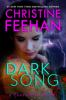 Book cover for "Dark song".