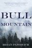 Book cover for "Bull Mountain".