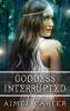 Book cover for "Goddess Interrupted".