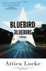 Book cover for "Bluebird, bluebird".