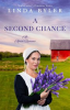 Book cover for "A Second Chance".