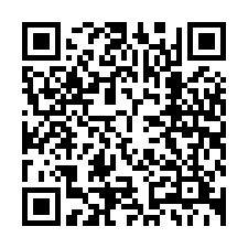 QR Code for "Fractal Noise".